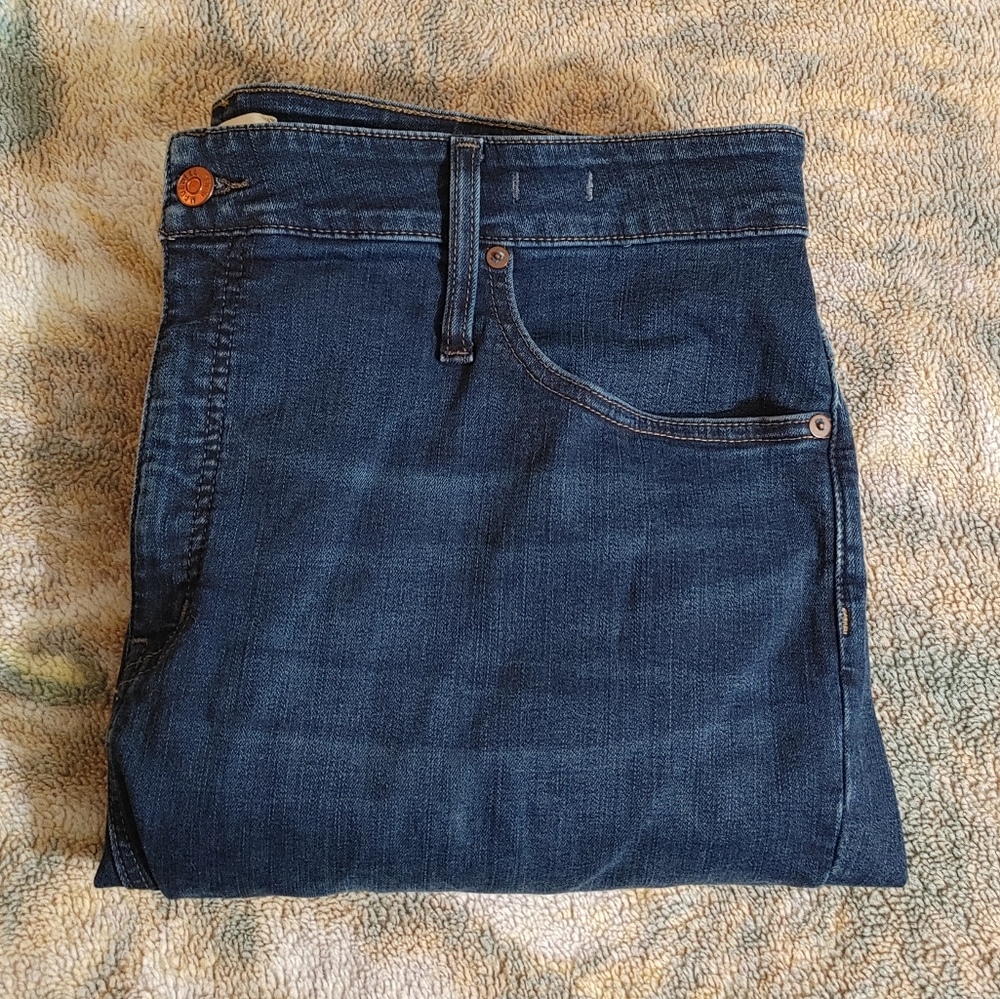 Madewell Curvy High Rise Skinny Jean